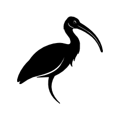 Care Management Software Dashboard CareSupervisor